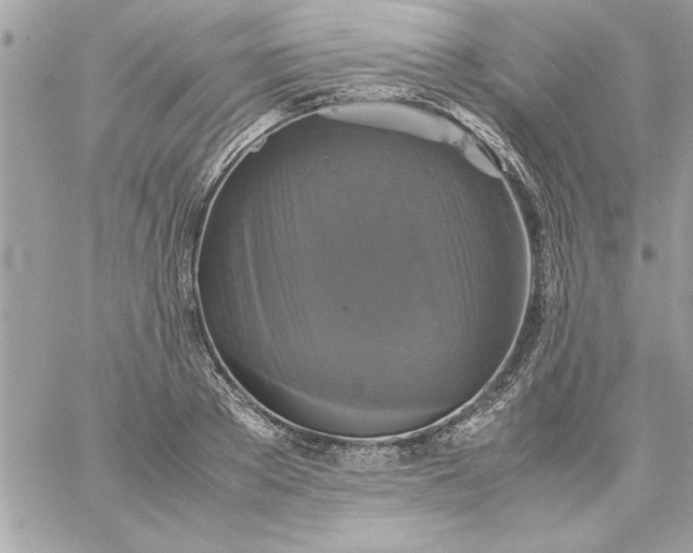 X0000059230889200510281902