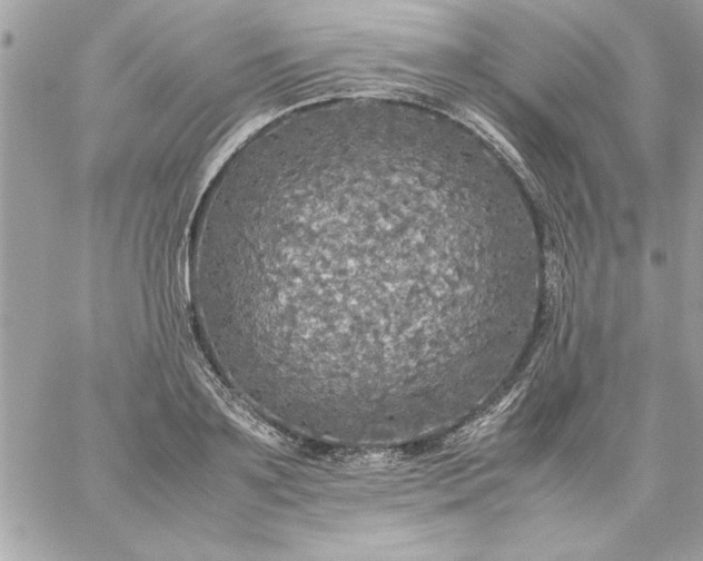 X0000059230891200510281902