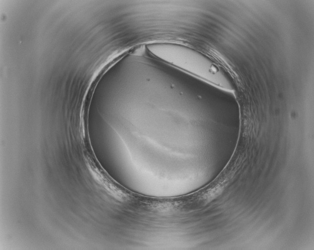 X0000059230892200510281902