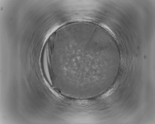 X0000059230893200510281902