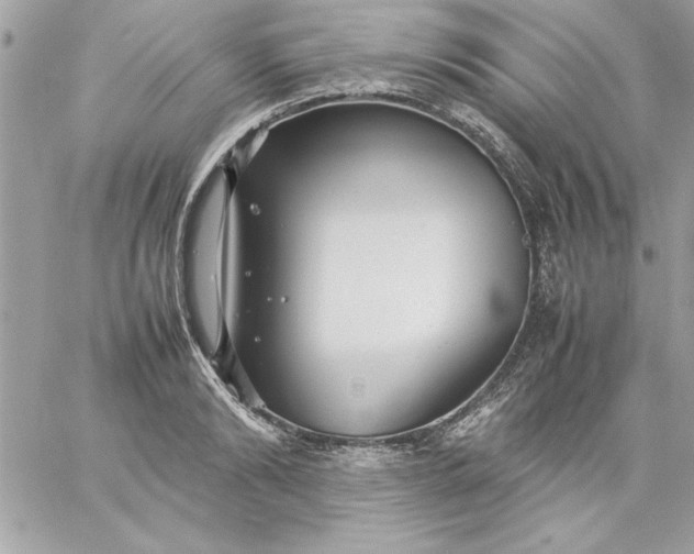 X0000059230894200510281902