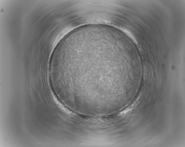 X0000059230895200510281902