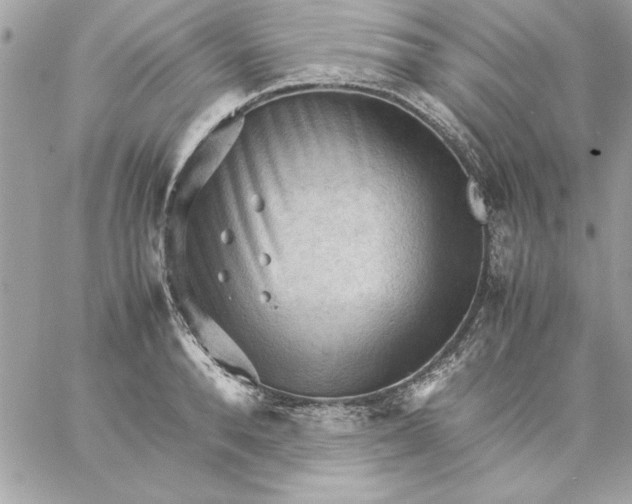 X0000059230896200510281902