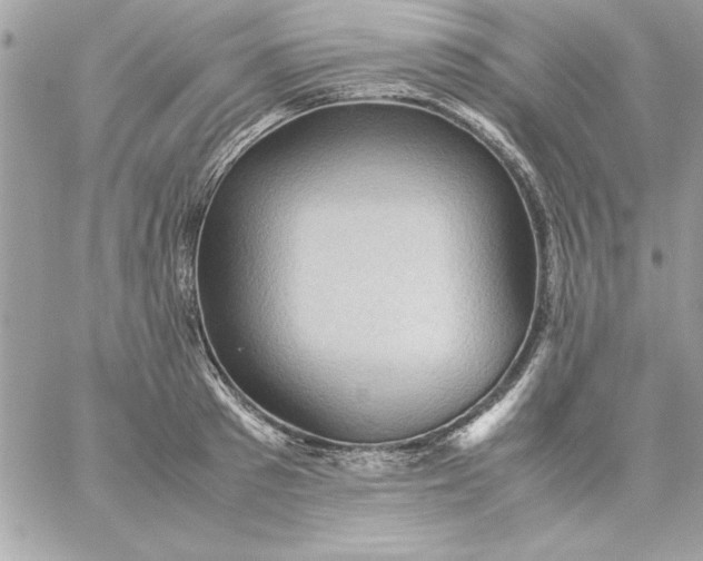 X0000059230897200510281902