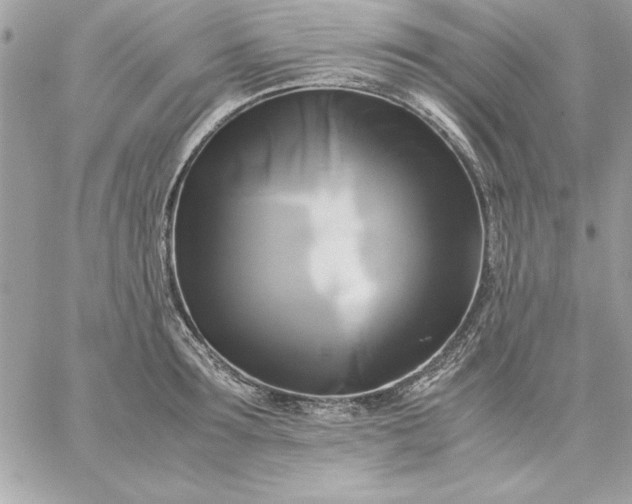 X0000059230899200510281902