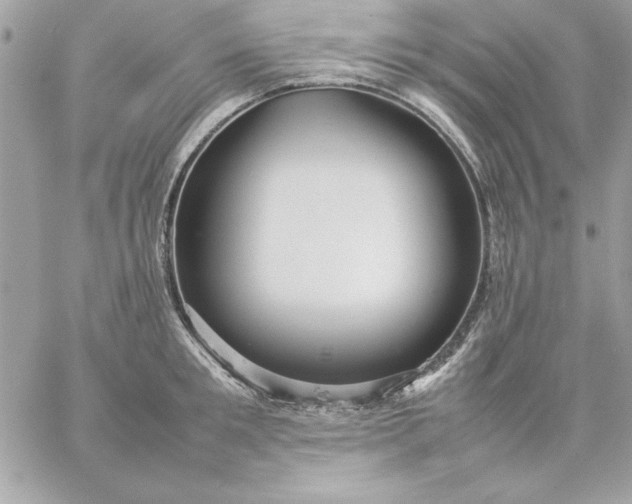 X0000059230901200510281902