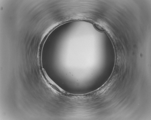 X0000059230902200510281902