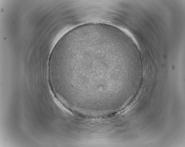 X0000059230903200510281902