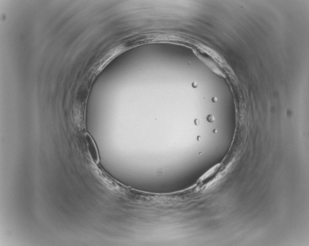 X0000059230905200510281902