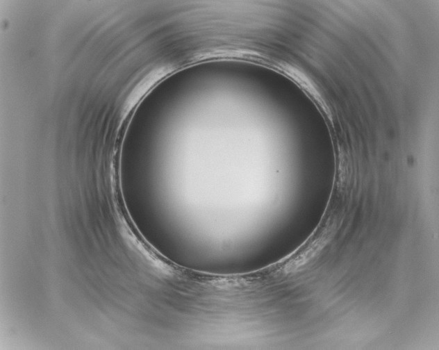 X0000059230906200510281902