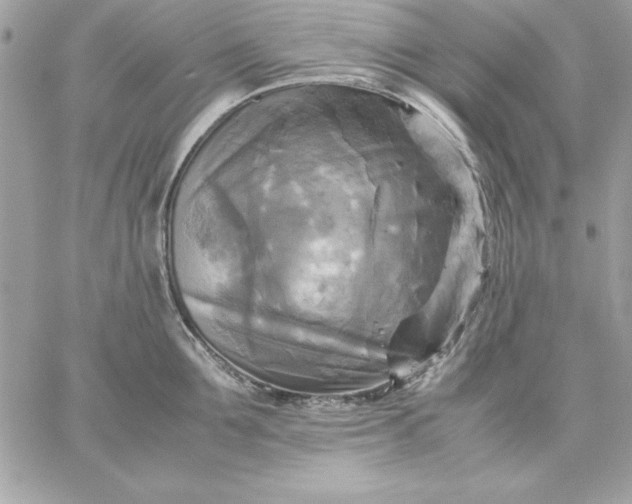 X0000059230907200510281902