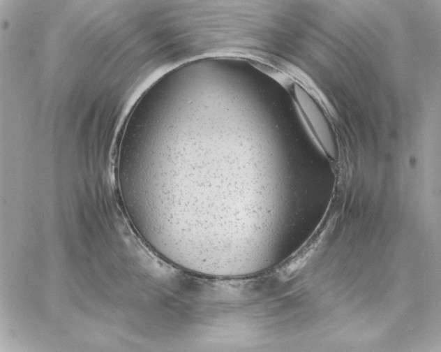 X0000059230908200510281902