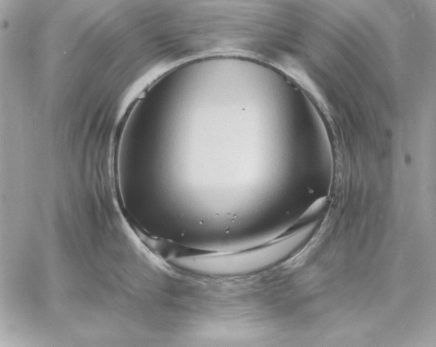 X0000059230910200510281902