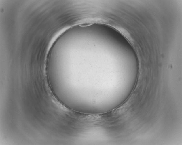 X0000059230912200510281902