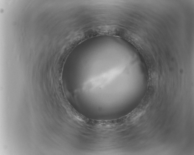 X0000059230913200510281901