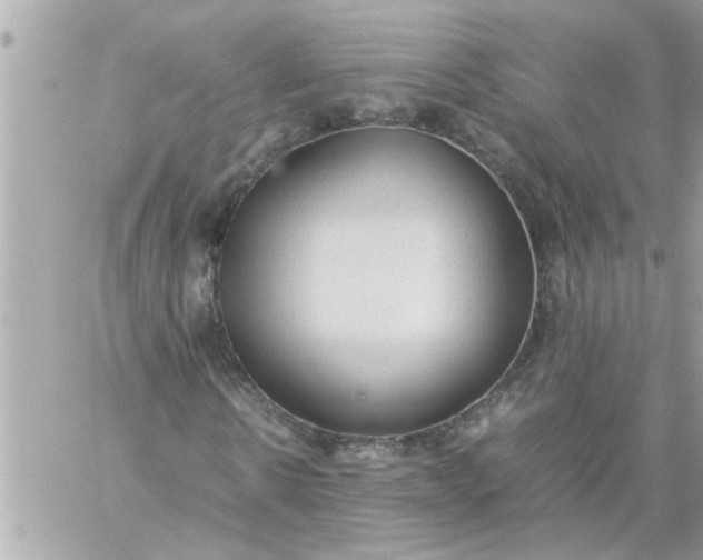 X0000059230914200510281901