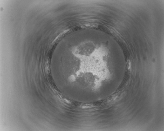 X0000059230915200510281901