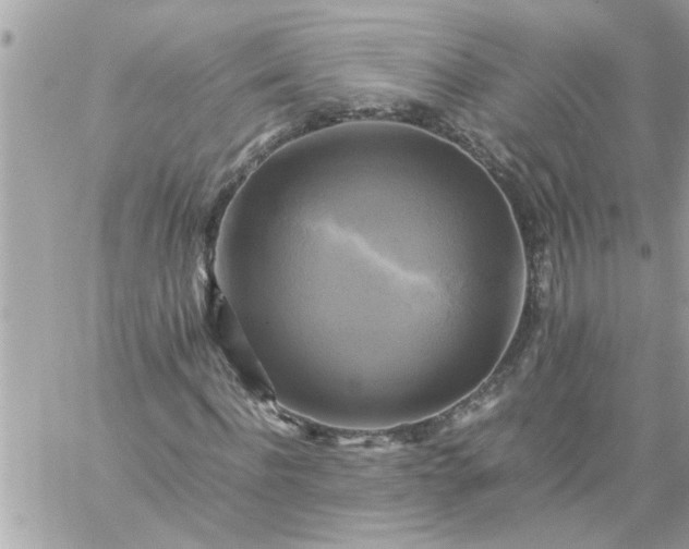 X0000059230916200510281901