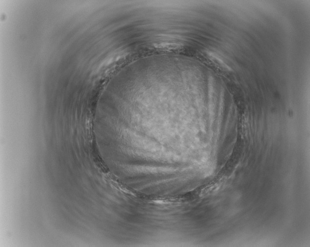 X0000059230917200510281901