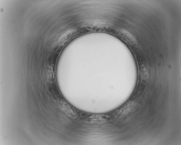 X0000059230918200510281901