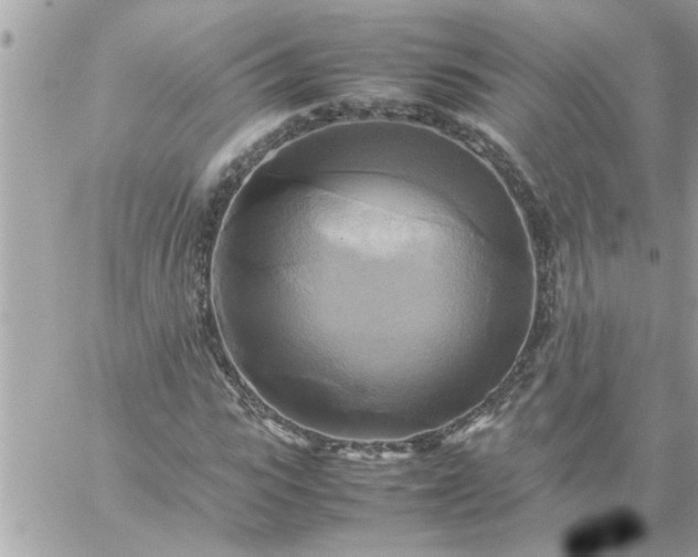 X0000059230919200510281901