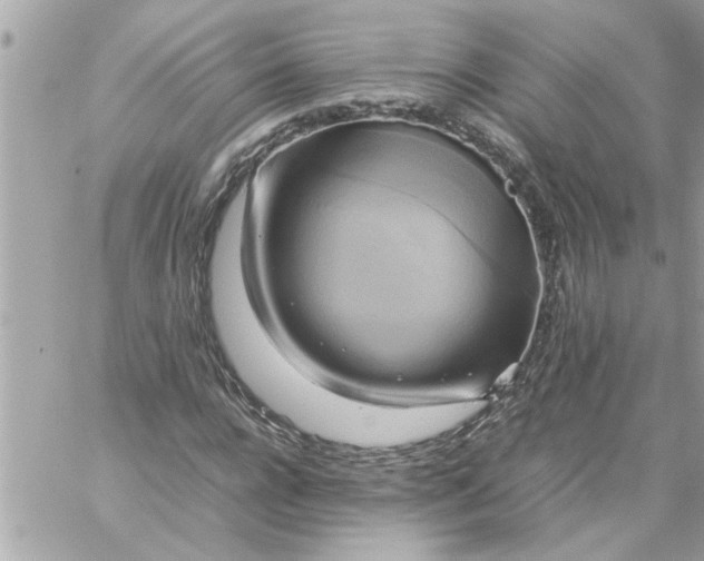 X0000059230920200510281901