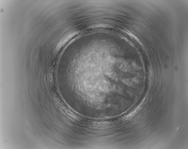 X0000059230921200510281901