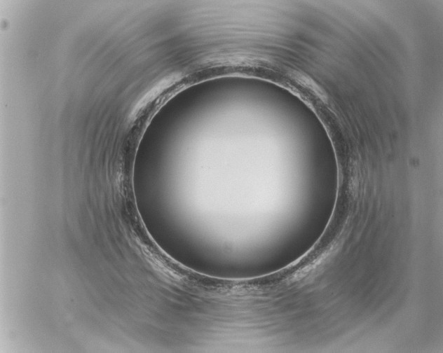 X0000059230922200510281901