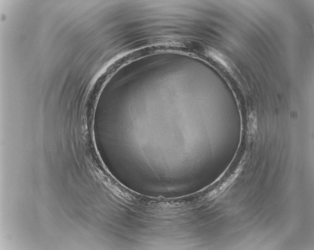 X0000059230923200510281901