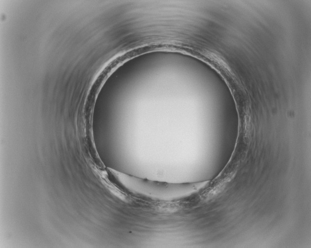 X0000059230924200510281901