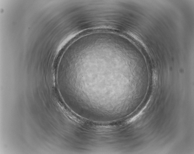 X0000059230925200510281901