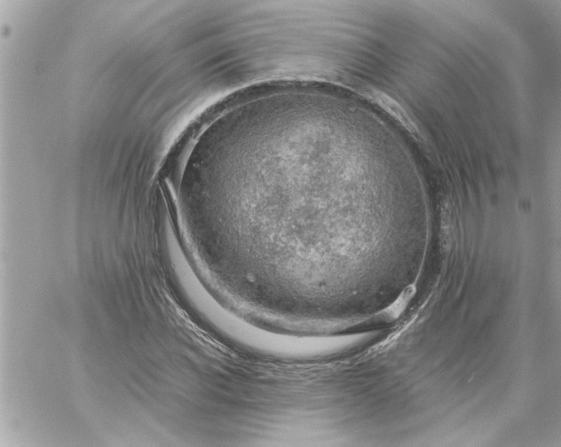 X0000059230926200510281901