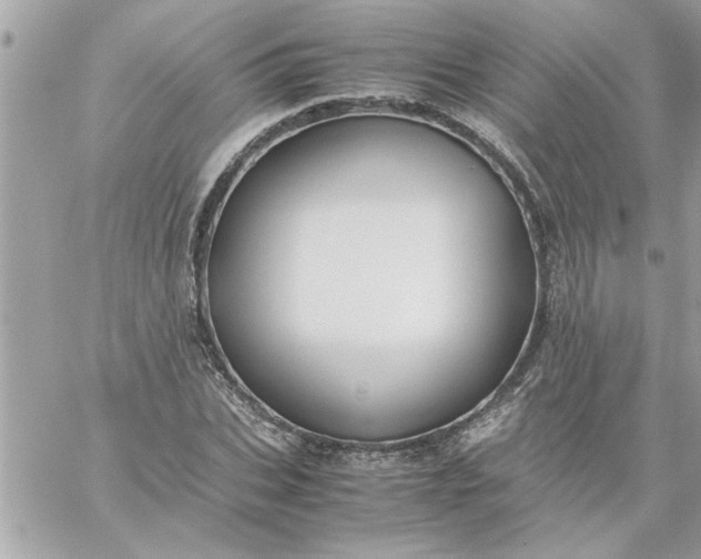 X0000059230927200510281901