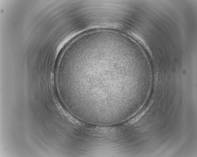 X0000059230928200510281901