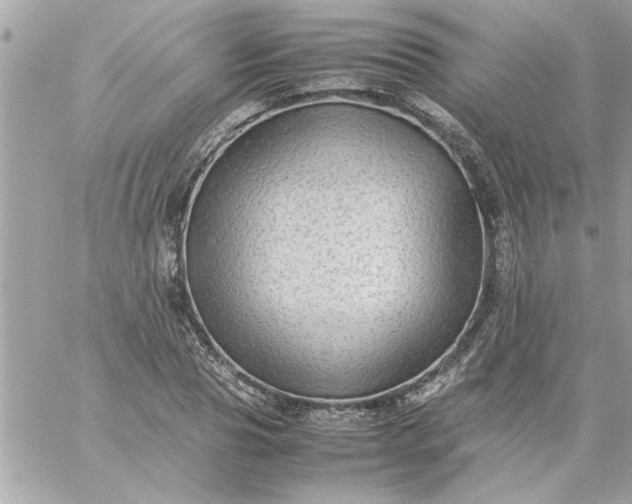 X0000059230929200510281901