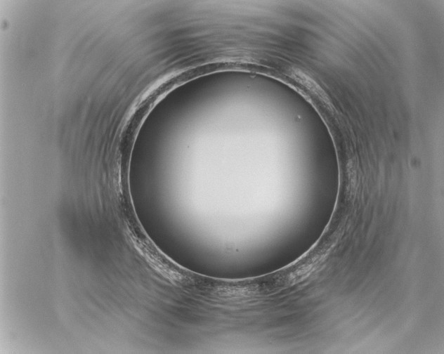 X0000059230931200510281901