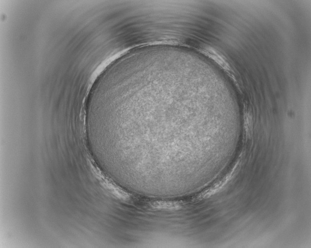 X0000059230933200510281901