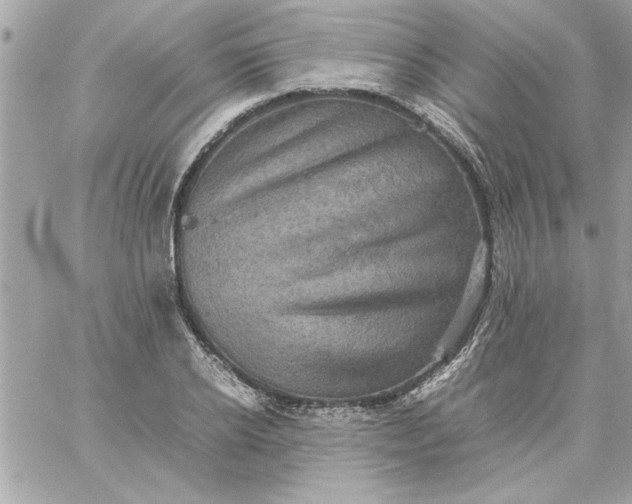 X0000059230934200510281901