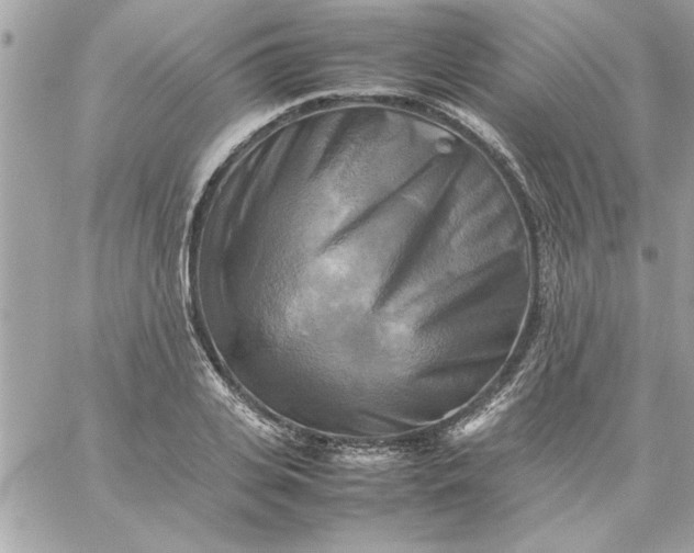 X0000059230935200510281902