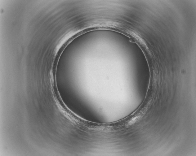 X0000059230936200510281902