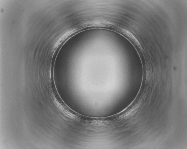 X0000059230938200510281902