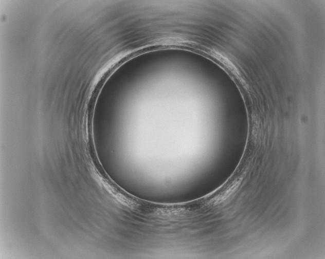 X0000059230939200510281902