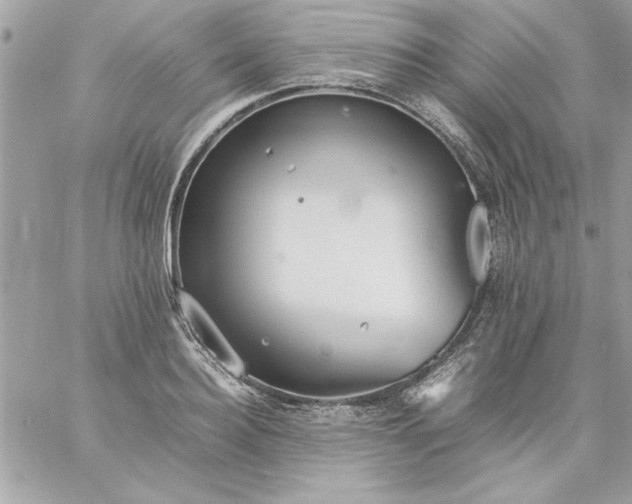 X0000059230940200510281902