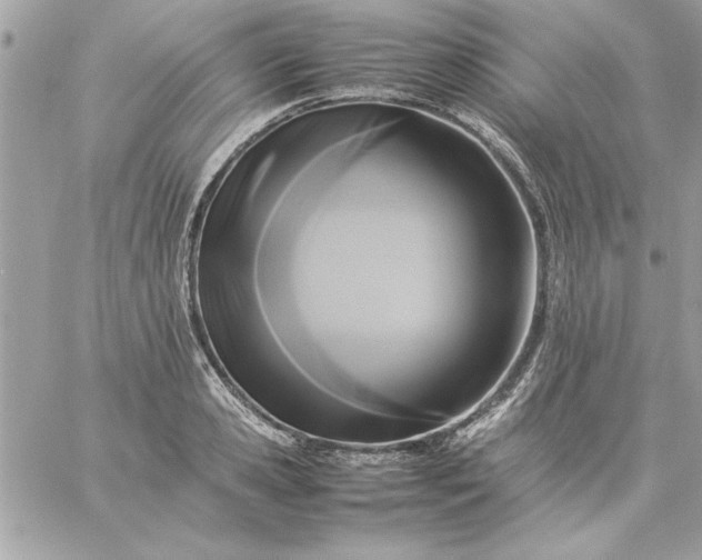 X0000059230941200510281902