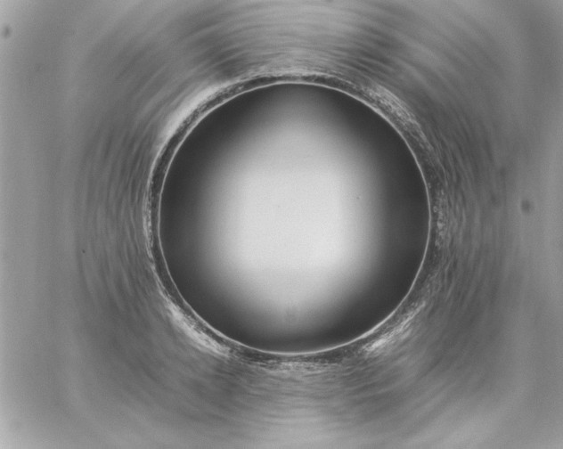 X0000059230942200510281902