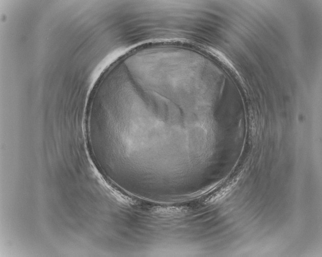 X0000059230943200510281902