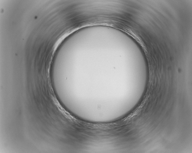 X0000059230944200510281902