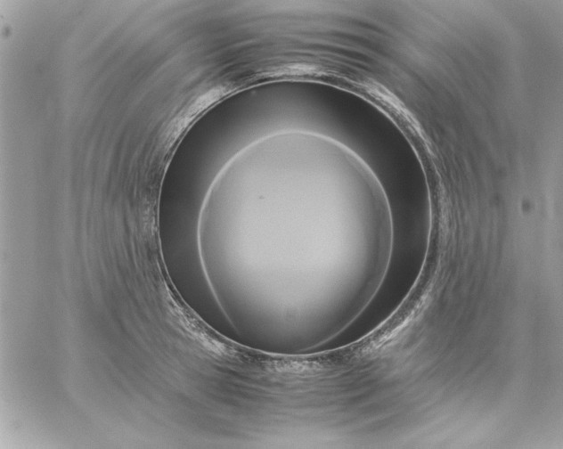 X0000059230945200510281902