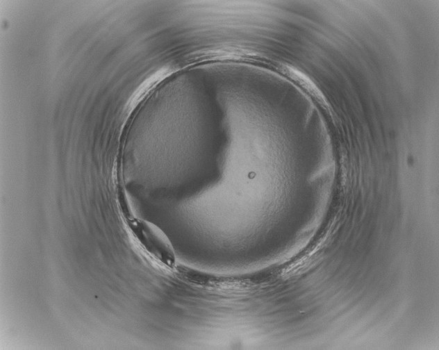 X0000059230946200510281902