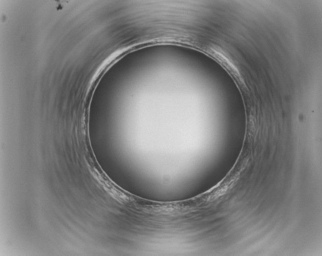 X0000059230948200510281902